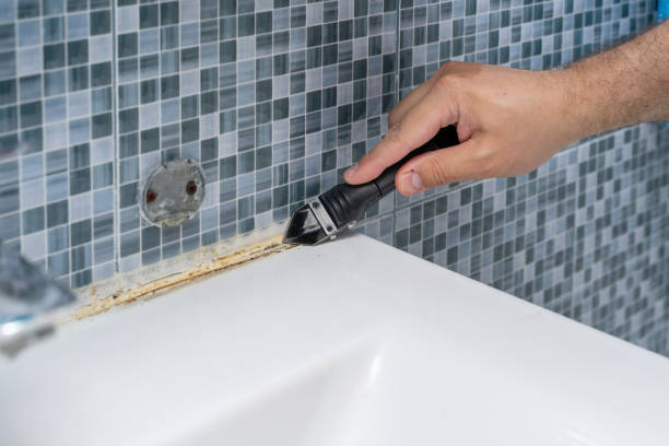 Best Mold Damage Repair  in Norway, MI