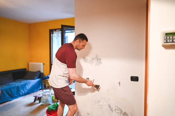 Best Mold Removal Company Near Me  in Norway, MI